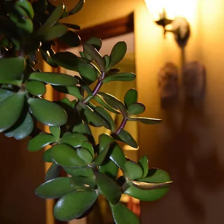 Aparthotel Residenza Le Due Torri